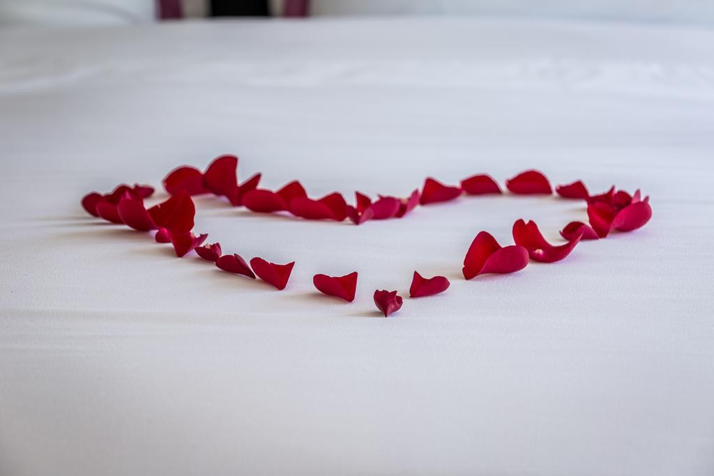 Park Plaza Hotel Seguin Zewnętrze zdjęcie